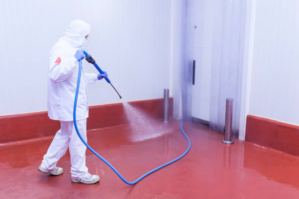 Green Island, NY Pressure Washing Services Company